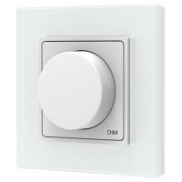 Skydance PK1(G) RF Remote Control, Single Color, 1 Zone