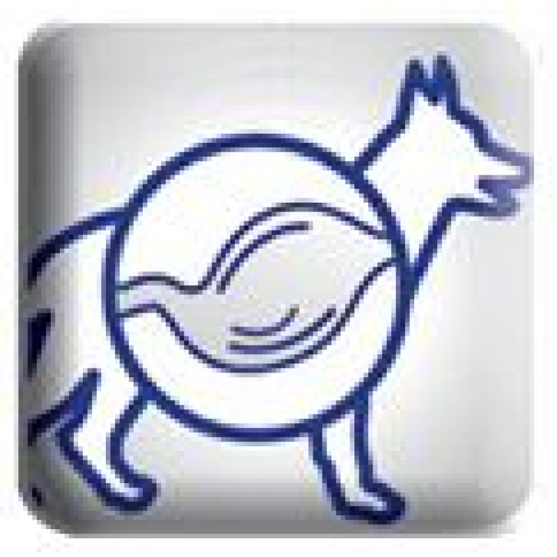 Monge SPECIAL DOG Premium Lamb & Rice 4 kg - barība suņiem