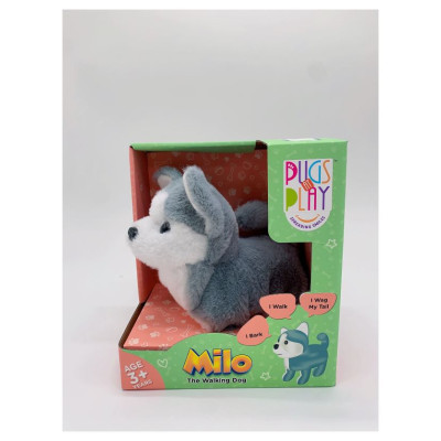 Pugs At Play Staigājo&scaron;s suns, Milo