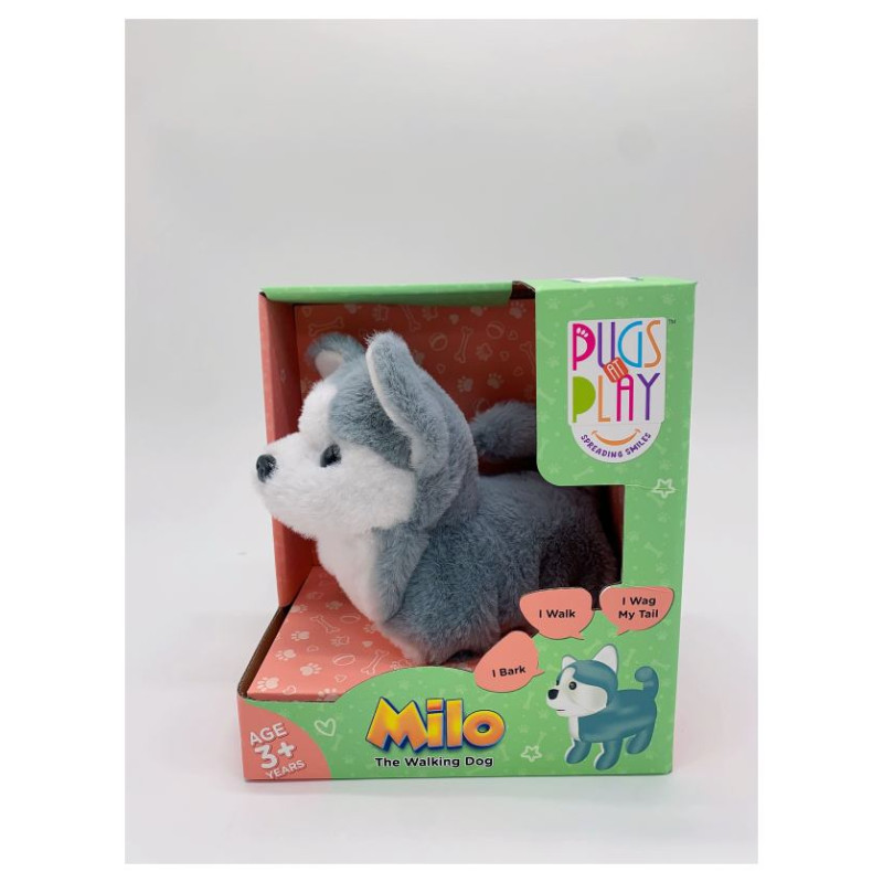 Pugs At Play Staigājo&scaron;s suns, Milo