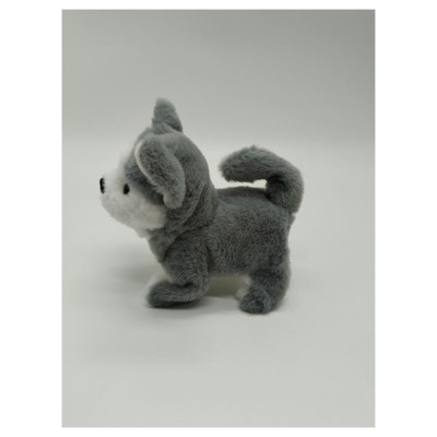 Pugs At Play Staigājo&scaron;s suns, Milo