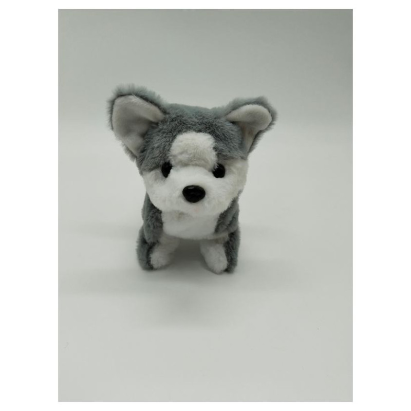 Pugs At Play Staigājo&scaron;s suns, Milo