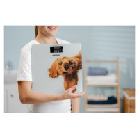 Zelmer ZBS1010 Crazy dog