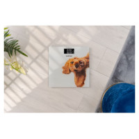 Zelmer ZBS1010 Crazy dog