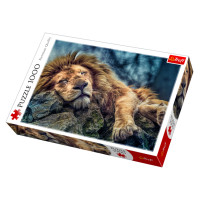 Trefl Puzle Lauva, 1000 gab.