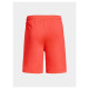 Under Armour M 1376955-877 Shorts (L)