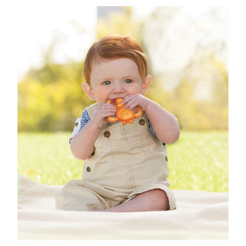 Infantino Atvēsino&scaron;ana smaganu rotaļlieta, Dārza iemītnieki, 2gb