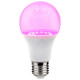 Visional Light Bulb|VISIONAL|Power consumption 12 Watts|AC 220-240V|Beam angle 270 degrees|TL-A-12W