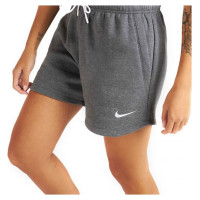 Nike Park 20 Short W CW6963-071 (M)