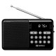 Sandberg 421-18 Speaker Radio FM+BT Recharge