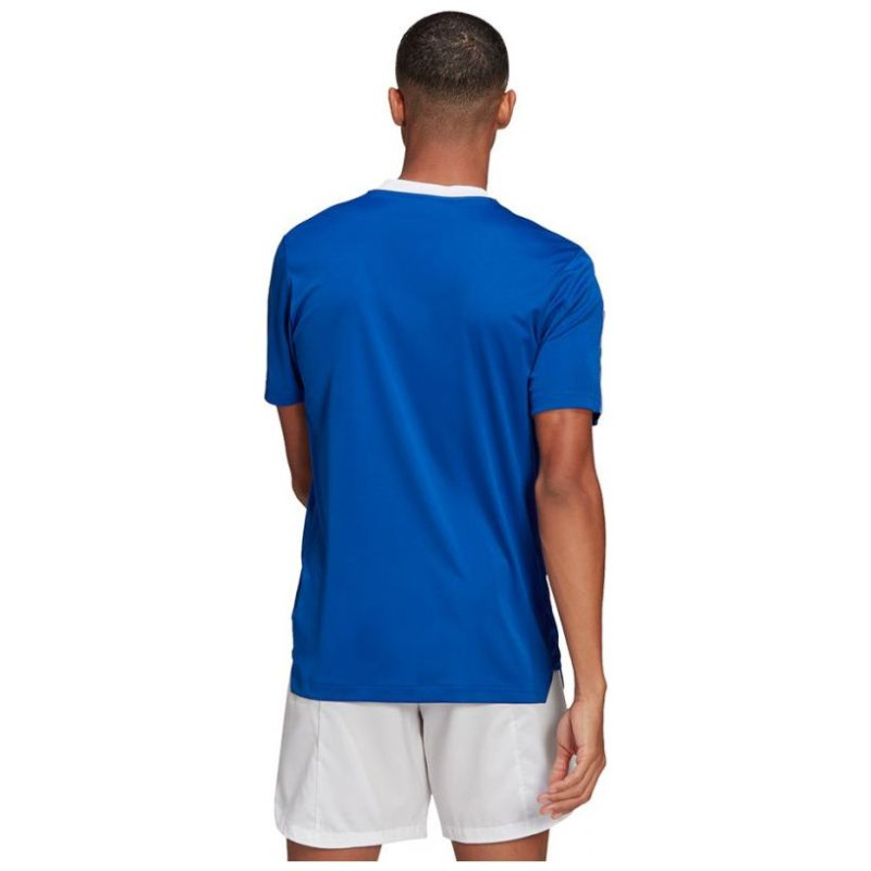 Adidas T-shirt adidas TIRO 21 TR JSY M GM7589 (S)