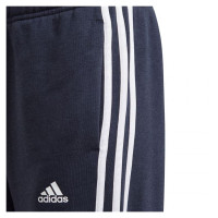 Adidas Essentials 3 Stripes Pant Jr GQ8898 (128cm)