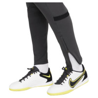 Nike Dri-FIT Academy W CV2665-060 Pants (L)