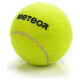 Meteor tennis ball 3 pcs 19000 (uniw)