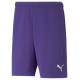 Puma teamRise Short Prist M 704942 10 (S)
