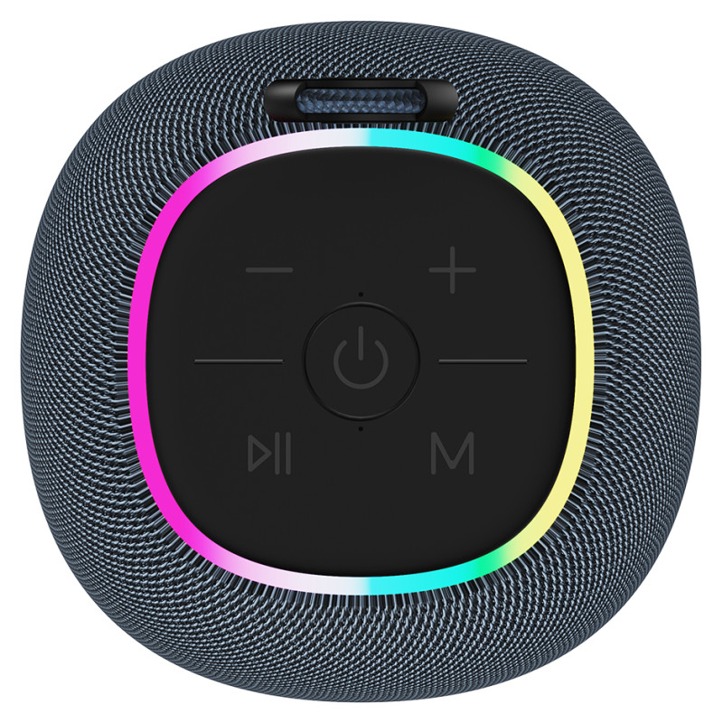 Canyon speaker BSP-8 10W Gray