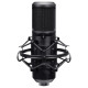 Trust MICROPHONE GXT270 EMITA II +/BLACK 25770 TRUST