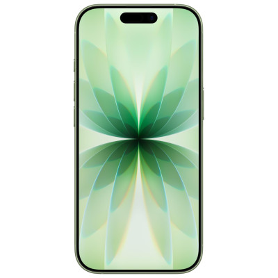 Apple MOBILE PHONE IPHONE 17/256GB SAGE MG6N4 APPLE