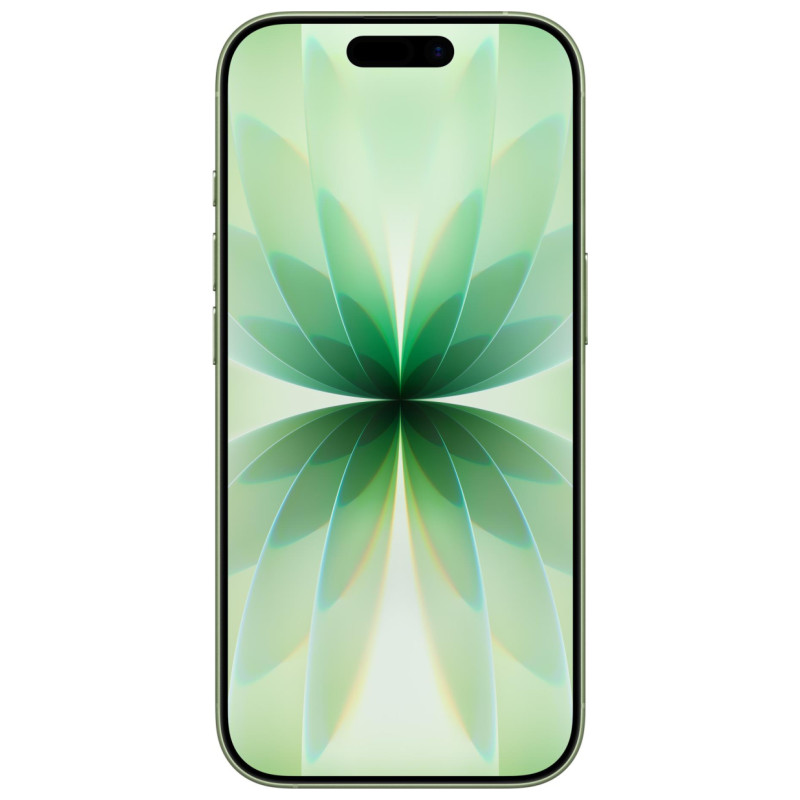 Apple MOBILE PHONE IPHONE 17/256GB SAGE MG6N4 APPLE