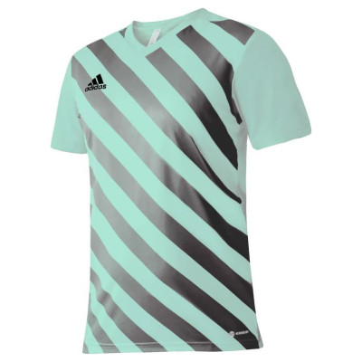 Adidas T-shirt adidas Entrada 22 Graphic Jersey M HF0119 (XL)