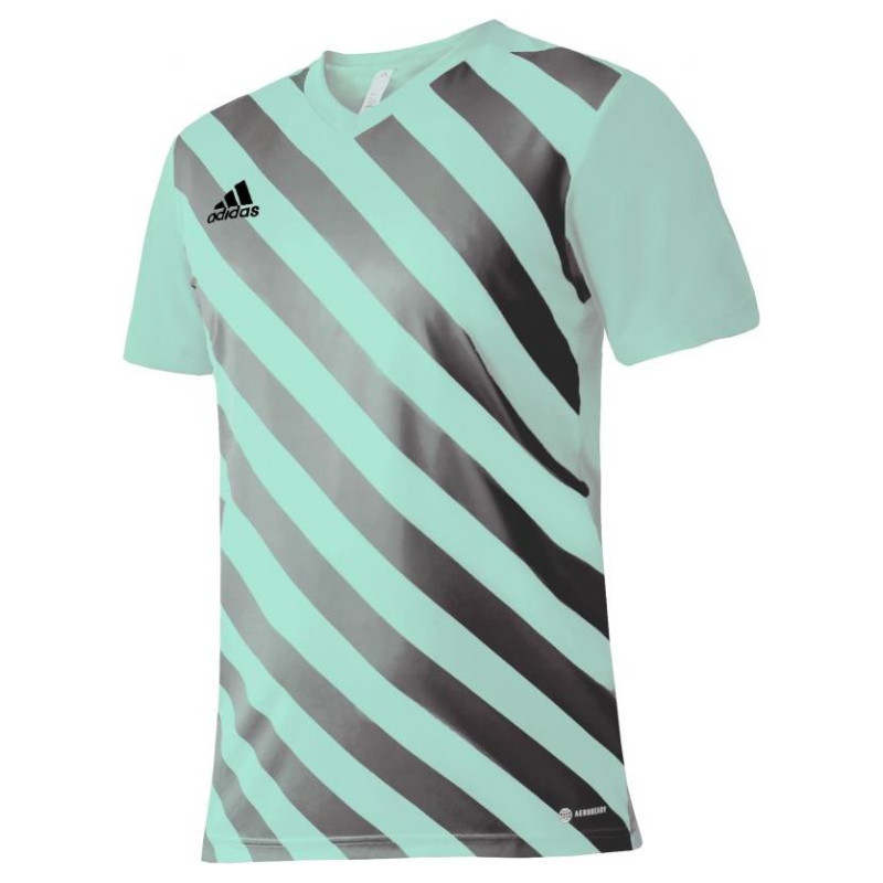 Adidas T-shirt adidas Entrada 22 Graphic Jersey M HF0119 (XL)