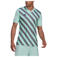 Adidas T-shirt adidas Entrada 22 Graphic Jersey M HF0119 (XL)