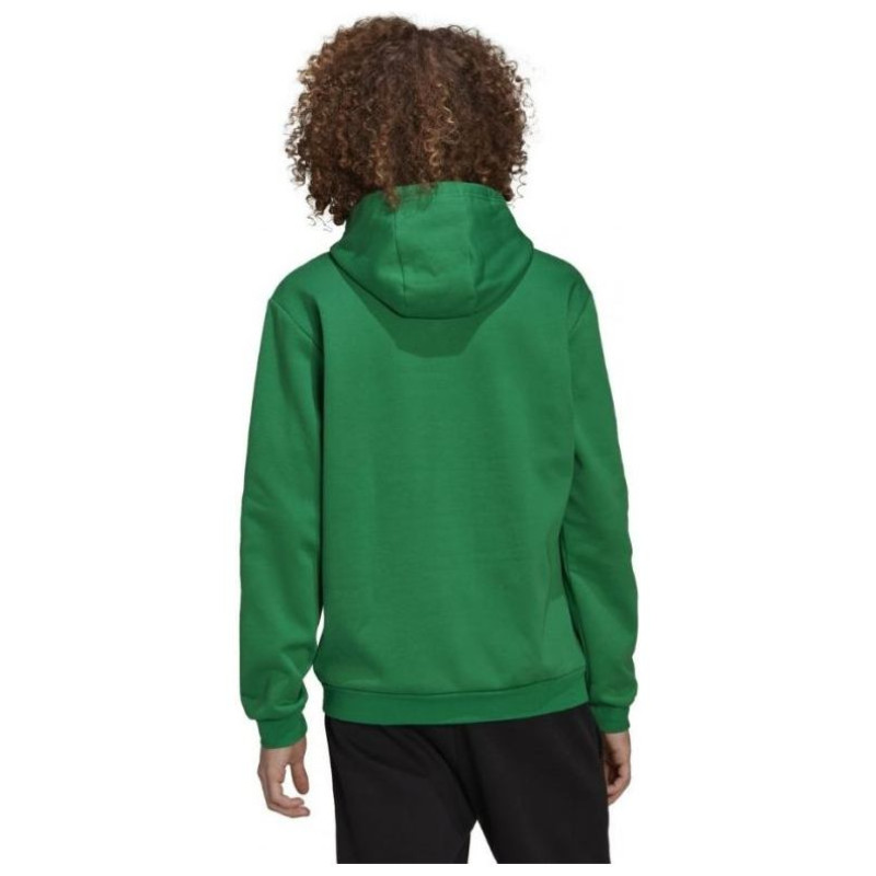 Adidas Entrada 22 Sweat Hoodie M HI2141 (M)