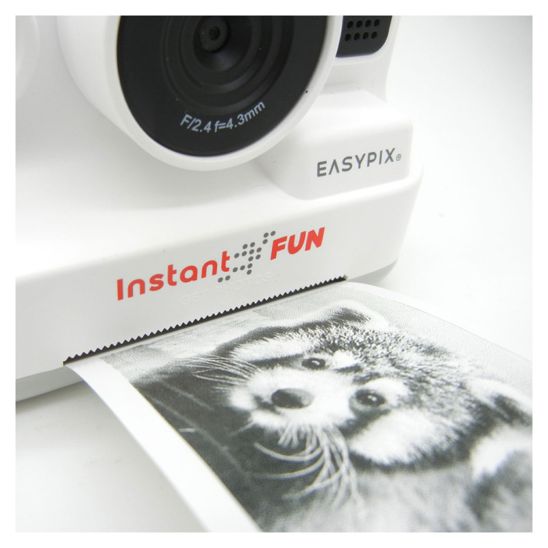 Easypix InstantFUN camera 10095