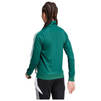 Adidas Tiro 24 Training W sweatshirt IR9499 (L)