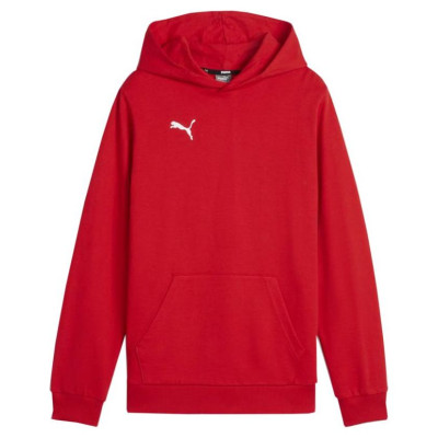 Puma Team Goal Casuals Hoddy Jr sweatshirt 658619 01 (164cm)