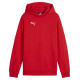 Puma Team Goal Casuals Hoddy Jr sweatshirt 658619 01 (164cm)
