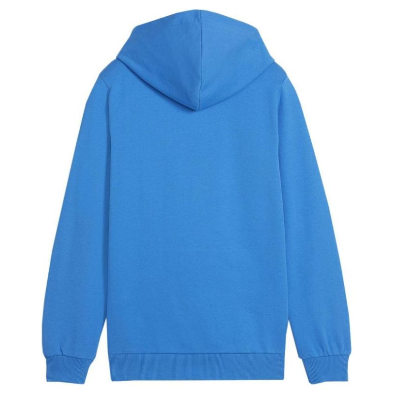 Puma Team Goal Casuals Hoddy Jr sweatshirt 658619 02 (140cm)