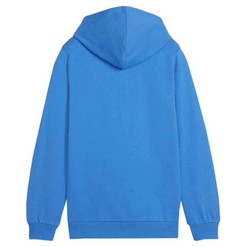 Puma Team Goal Casuals Hoddy Jr sweatshirt 658619 02 (140cm)
