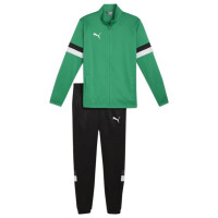 Puma Team Rise M tracksuit 658653 05 (L)