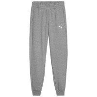 Puma Team Goal Jr pants 658601 33 (116cm)