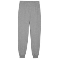 Puma Team Goal Jr pants 658601 33 (116cm)