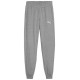 Puma Team Goal Jr pants 658601 33 (116cm)