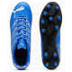 Puma Attacanto FG/AG M 107477 09 shoes (46)