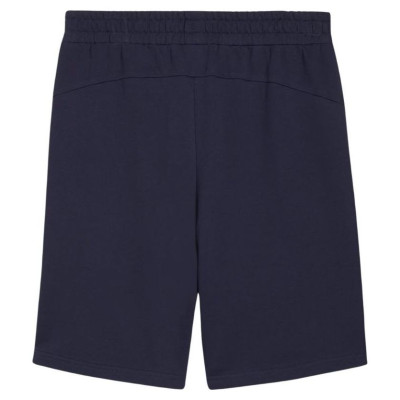 Puma teamGOAL Casuals M shorts 658608 06 (M)