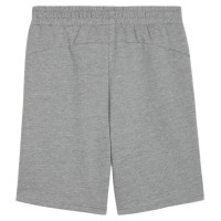 Puma teamGOAL Casuals M shorts 658608 33 (XL)