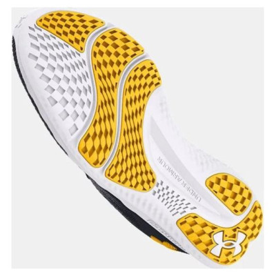 Under Armour Under Armor Charged Swift M shoes 3026999-004 (44.0)