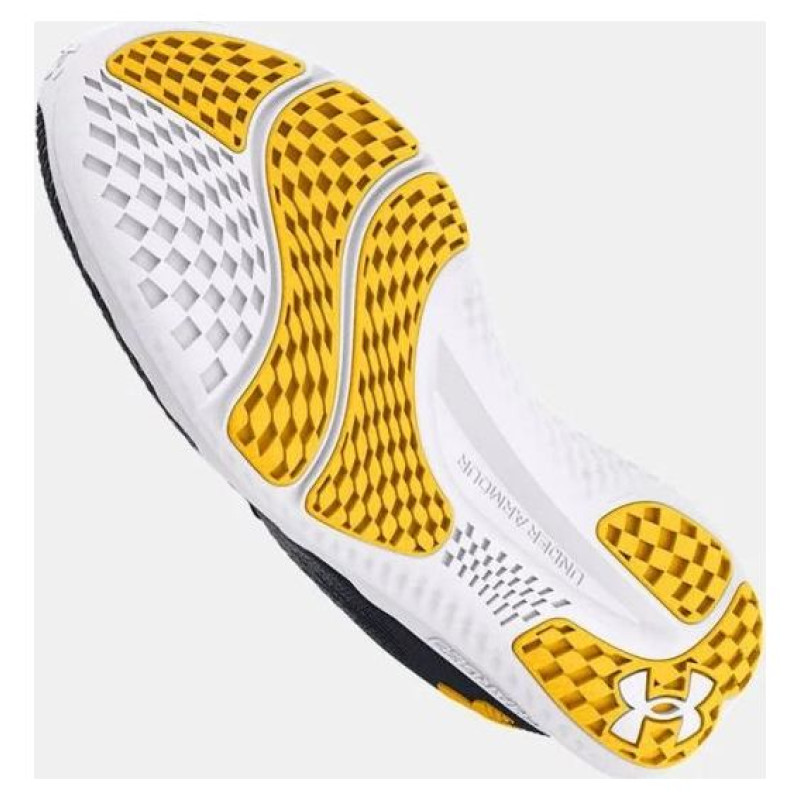 Under Armour Under Armor Charged Swift M shoes 3026999-004 (44.0)