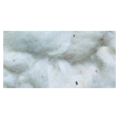 Record Kokvilnas mīksta gulta grauzējiem 50g