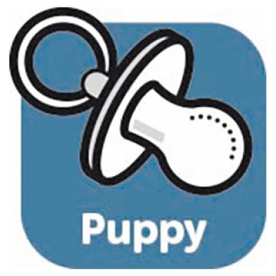 Flamingo &scaron;ampūns kucēniem 300ml