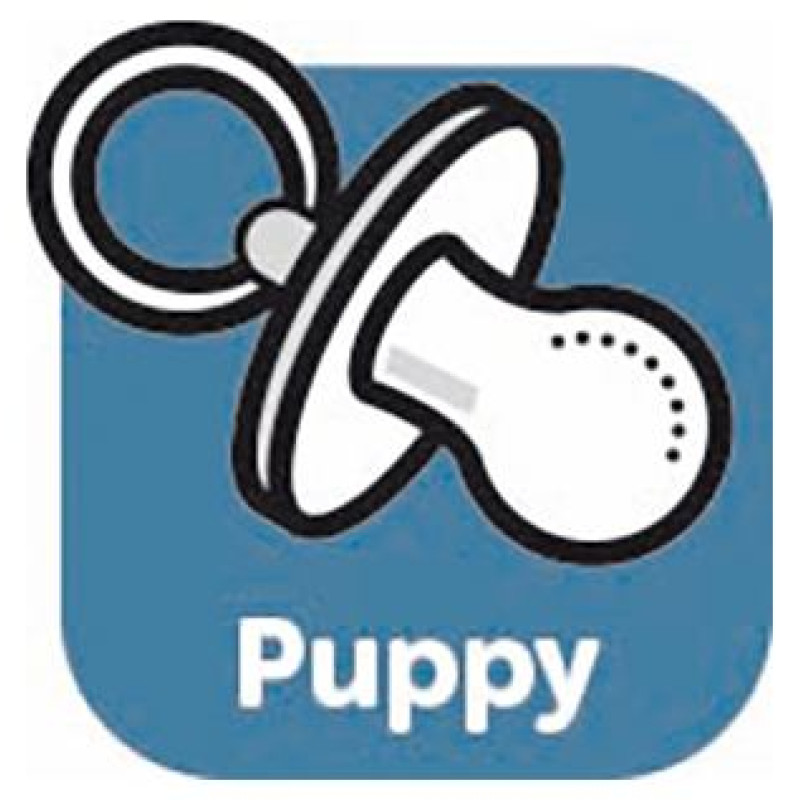 Flamingo &scaron;ampūns kucēniem 300ml