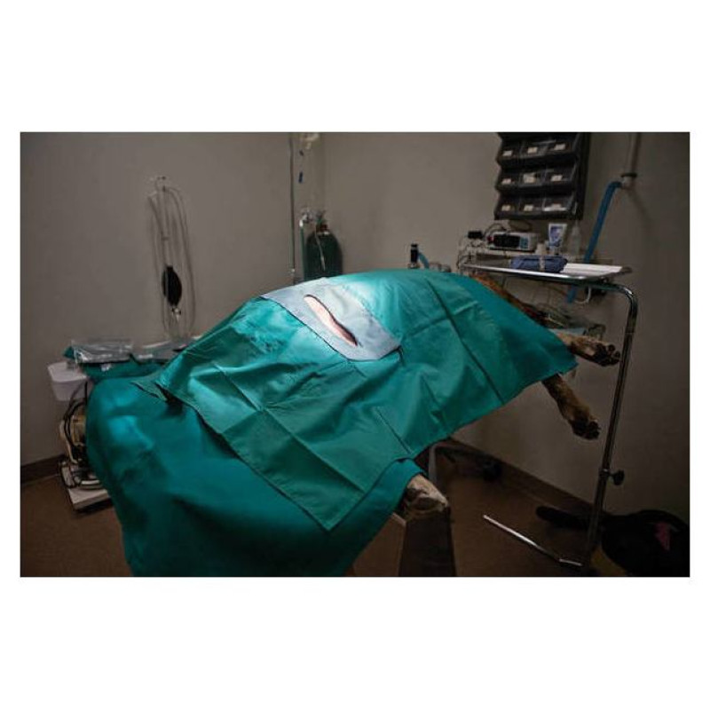 KVP ķirurģiskais pārklājs (atkārtoti lietojams) 50x50 cm, izgr. 10x1,9 cm