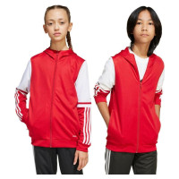 Adidas Squadra 25 Hoodie Jr JD4801 sweatshirt (140 cm)