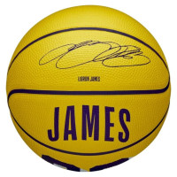 Wilson NBA Player Icon LeBron James Mini Ball Basketball WZ4027701XB (3)