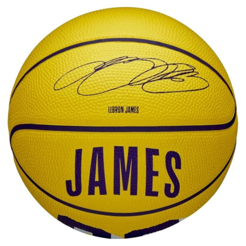 Wilson NBA Player Icon LeBron James Mini Ball Basketball WZ4027701XB (3)