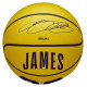 Wilson NBA Player Icon LeBron James Mini Ball Basketball WZ4027701XB (3)